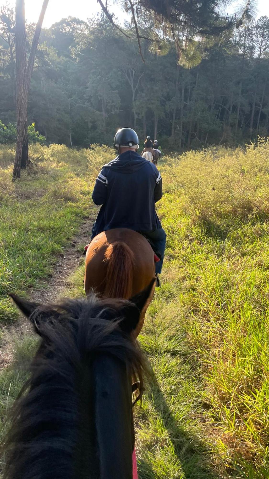 مبيت وإفطار São Roque Rancho Cavalomania المظهر الخارجي الصورة
